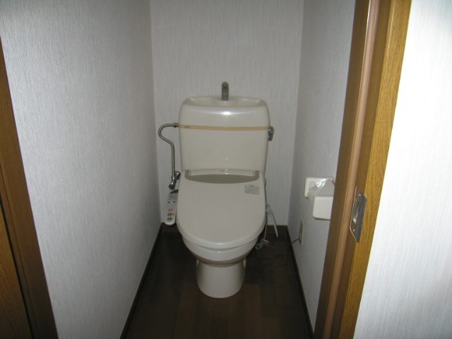 サザンヒルズ 　Ｃ号室　トイレ